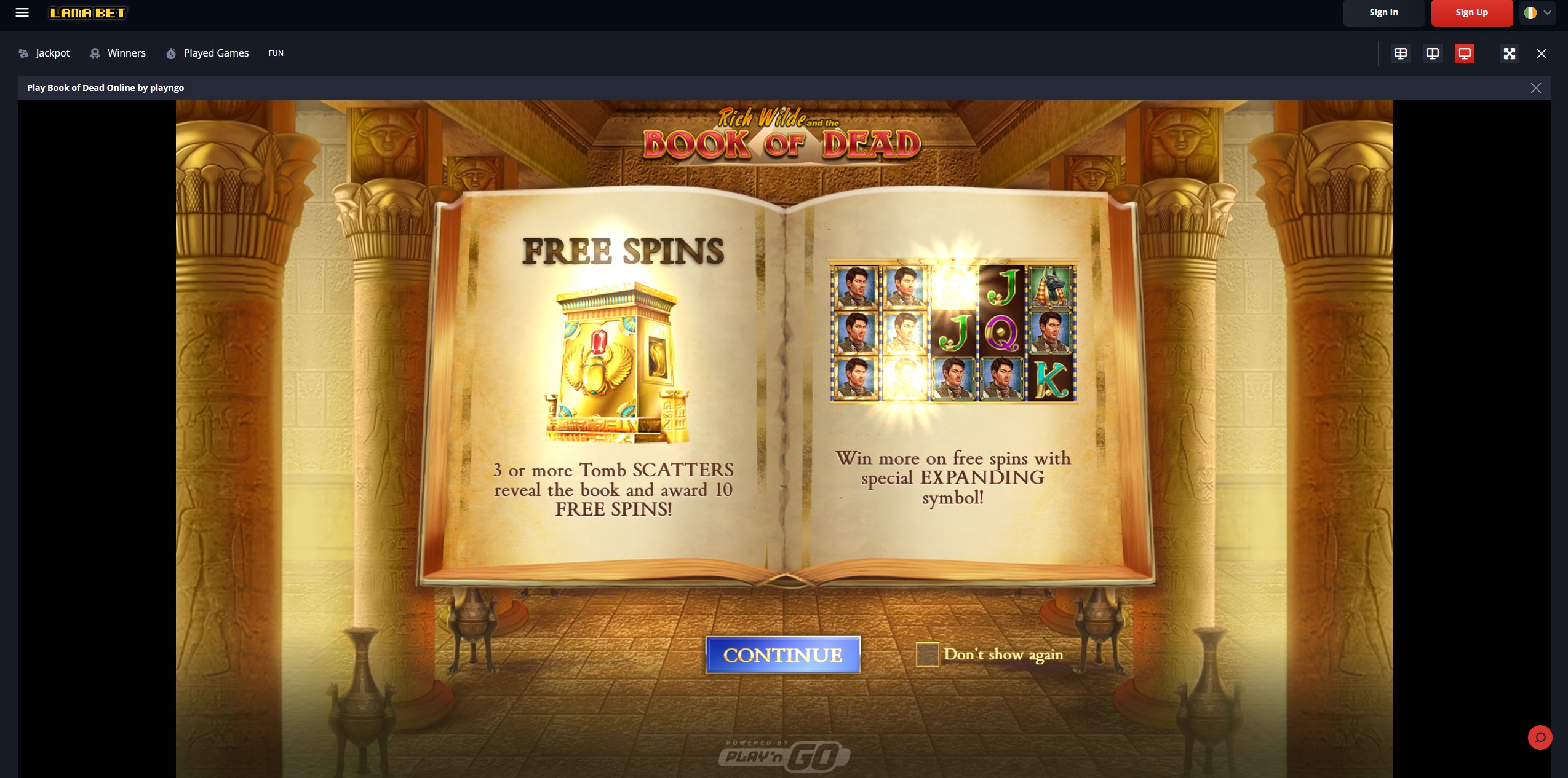 Slot machine Book of Dead